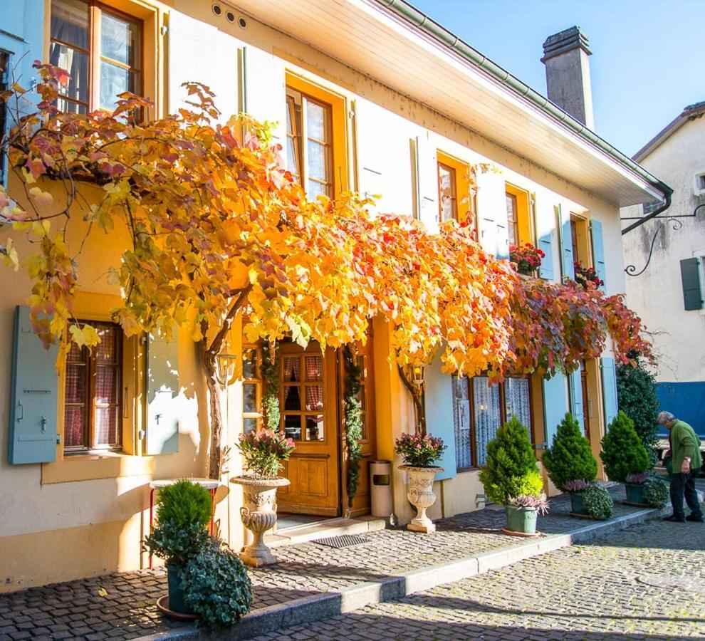 Le Cinquante Quatre Perroy Exterior foto